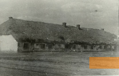 Image: Bogdanovka, 1944, One of the pigsties into which Jewish prisoners were crowded, Tsentralniy derzhavniy kinofotofonarkhiv Ukraini im. H. S. Pshenychnoho (TsDKFFA), Kyiv-110 