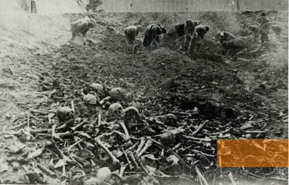 Image: Bogdanovka, 1944, Exhumation of the victims after the end of the occupation, Derzhavniy arkhiv odeskoj oblasti