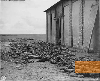 Image: Gardelegen, 1945, US Army photo, victims of the massacre, National Archives