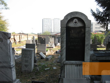 Image: Belgrade, 2009, View of the Jewish cemetery, Aleksandar Gaev