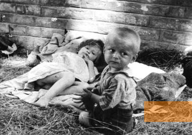 Bild:Sissek, 1942, Kinder im Lager Sissek, JUSP Jasenovac