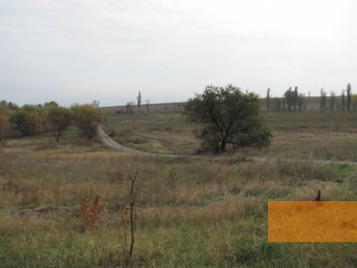 Image: Agrobaza, undated, Site of shooting today, Agenstvo evreyskih novostey