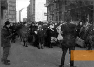 Image: Budapest, 1944, Militiamen of the Arrow Cross party rounding up Jews, Yad Vashem