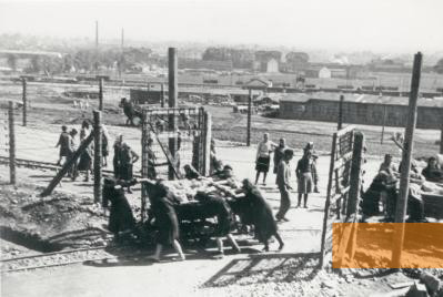 Bild:Krakau-Plaszow, 1942, Häftlinge bei der Zwangsarbeit, Yad Vashem