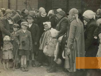 Image: Auschwitz-Birkenau, 1944, Hungarian Jews selected for extermination shortly before being murdered, Yad Vashem