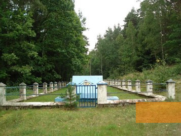 Image: Forest of Inkakliai, 2011, View of the mass grave, Monika Žąsytienė
