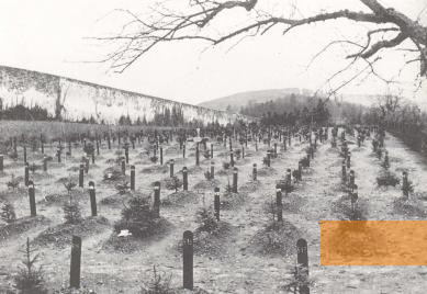 Image: Hadamar, undated, Cemetery with graves of those murdered, Landeswohlfahrtsverband Hessen