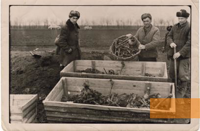 Image: Dobre, 1959, Exhumation of the victims, Larissa Perman-Traspova