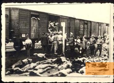 Image: Târgu Frumos, 1941, Bodies of Jews deported from Iaşi are unloaded from the »death train«, Yad Vashem