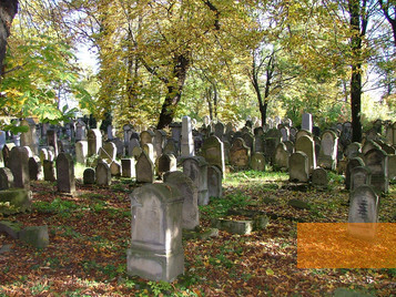 Image: Tarnów, 2004, On the Jewish cemetery, Emmanuel Dyan