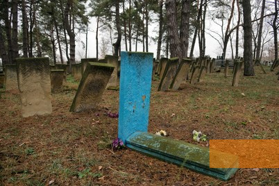 Image: Slavuta, 2017, Jewish cemetery, Christian Herrmann