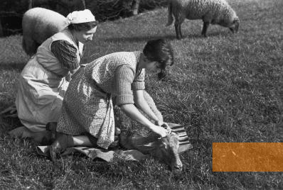 Image: Ahlem, 1938, Home economics students of the Israelite School of Horticulture at Ahlem on a sheep pasture, Jüdisches Museum Berlin, Herbert Sonnenfeld