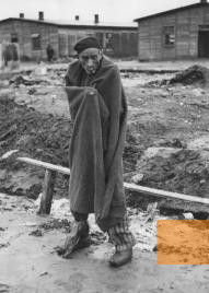 Image: Sandbostel, April 30, 1945, A Jewish survivor from Hungary, shortly after the camp's liberation, Imperial War Museum