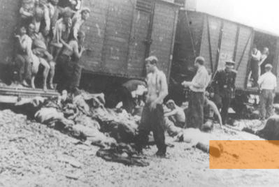 Image: Near Târgu Frumos, 1941, Corpses from one of the »death trains« from Iaşi being unloaded next to the tracks, Serviciul Roman de Informatii