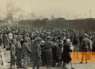 Image: Auschwitz-Birkenau, 1944, Arrival of Hungarian Jews at the death camp, Yad Vashem