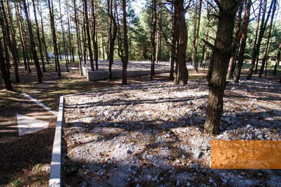Image: Prokhid, 2015, Marked mass graves in the forest, Anna Voitenko