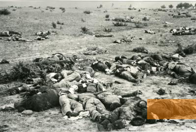 Image: near Pinsk, August 6, 1941, Corpses of Jewish men who were murdered the day before by members of SS cavalry regiment 2, private property, Erich Mirek