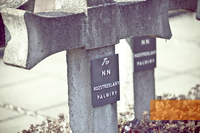 Image: Palmiry, 2011, Impressions from the cemetery, Robert Danieluk
