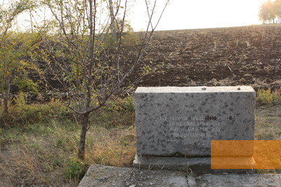 Image: Domanivka, 2012, Memorial stone at the mass gave, Stiftung Denkmal