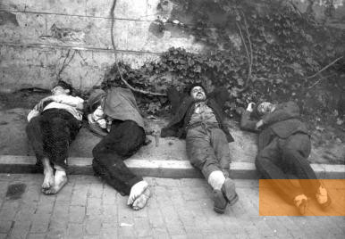 Bild:Bukarest, 1941, Verwundete liegen während des Pogroms auf der Straße, Yad Vashem