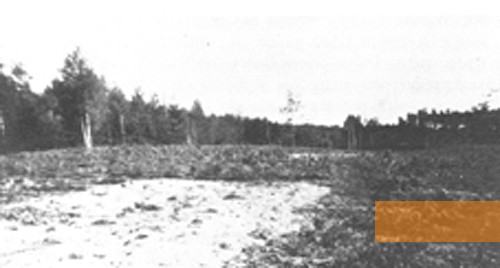 Bild:Wald von Spengawsken, 1941, Ort von Massenexekutionen, Miejska Biblioteka Publiczna im. ks. Bernarda Sychty w Starogardzie Gdańskim