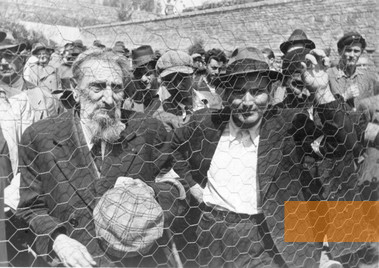 Image: Belgrade, 1941, Registration of Jews for forced labour deployment, Bundesarchiv, Bild 101I-185-0112-34, Neubauer