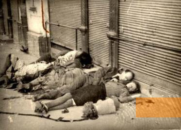 Image: Iaşi, June 1941, Murdered Jews lie in the city streets, Yad Vashem