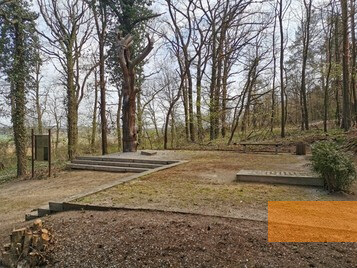Image: Langenstein, undated, The execution site »Death Pine«, Gedenkstätte Langenstein-Zwieberge