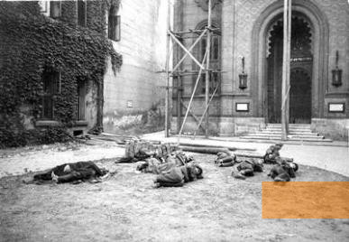 Image: Bucharest, June 1945, Jewish refugees and survivors sleep in front of the Choral Temple, Yad Vashem