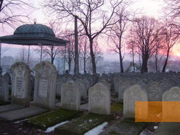 Image: Iaşi, 2006, On the Jewish cemetery, Stiftung Denkmal, Roland Ibold