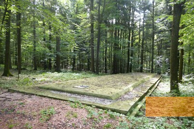 Image: Drohobych, 2017, Mass grave in the Bronitsa forest, Stiftung Denkmal, Sarah Kunte
