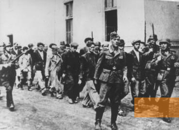 Bild:Kragujevac, 1941, Deutsche Soldaten führen Einwohner von Kragujevac zur Exekution, USHMM