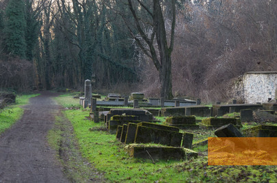 Image: Częstochowa, 2013, On the Jewish cemetery, Takimirimo