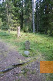 Image: Trandum, 2002, Mass grave no. 12, marked with a gravestone, Bjarte Bruland