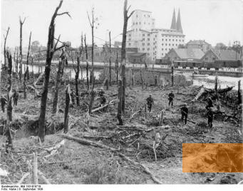 Image: Westerplatte, 1939, Destroyed forest on Westerplatte after it was taken on September 8, 1939, Bundesarchiv, Bild 183-E10718