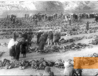 Bild:Bachmut, 1943, Identifizierung ​der Opfer, gemeinfrei