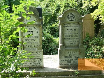 Image: Békéscsaba, 2005, Gravestones in the Jewish cemetery, jewish-bekescsaba.com