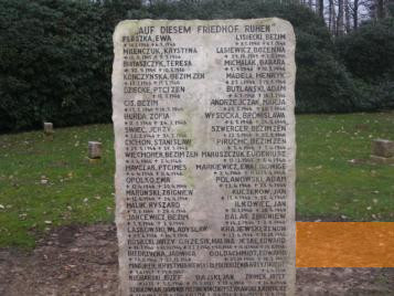 Image: Oerbke, 2007, Memorial stone at the Cemetery of the Nameless, Gemeindefreier Bezirk Osterheide