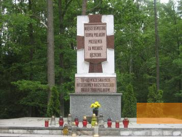 Image: Forest of Szpęgawsk, 2010, Central monument on the site of the shootings, Stiftung Denkmal