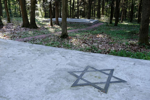 Drohobytsch, 2017, Massengräber im Wald von Broniza, Christian Herrmann
