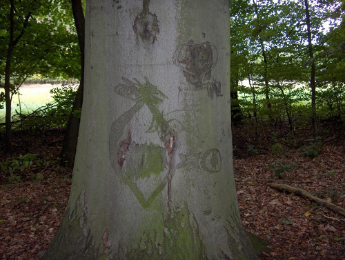 Belower Wald, 2007, Bäume im Belower Wald - Schnitzereien von KZ-Häftlinge aus dem April 1945, Stiftung Brandenburg. Gedenkstätten