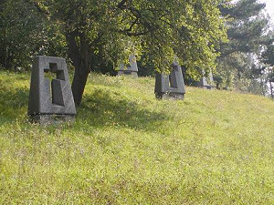photoAfterLink_542