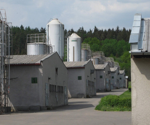 Mirovice, 2008, Schweinefarm auf dem Gelände des ehemaligen »Zigeunerlagers Lety«, František Kostlán