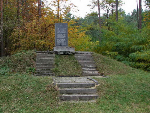 Brody, 2015, Holocaustdenkmal am Jüdischen Friedhof, Jewgennij Schnajder