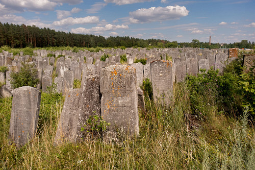 Brody, 2017, Jüdischer Friedhof, Christian Herrmann