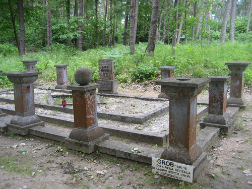 Wald von Spengawsken, 2010, Massengrab Nr. 16, Stiftung Denkmal