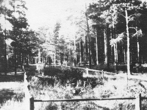 Welonen, 1944, Der eingezäunte Ort der Erschießungen, Muzejs »Ebreji Latvijā«