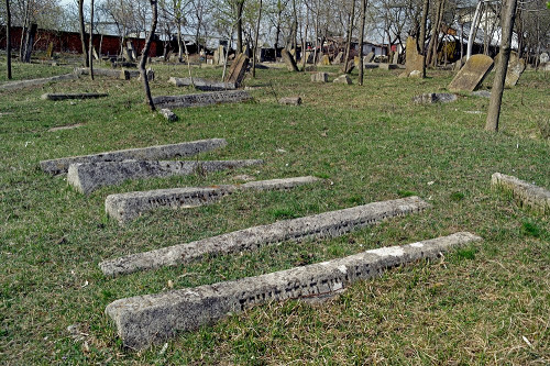 Dorohoi, 2015, Der jüdische Friedhof, Christian Herrmann