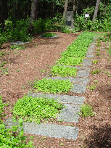 Bühlerzell, 2006, Steinplatten mit den Namen der beerdigten Kinder auf dem Friedhof Gantenwald, Gemeinde Bühlerzell, Franz Rechtenbacher