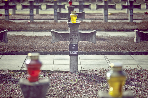 Palmiry, 2011, Eindrücke vom Friedhof, Robert Danieluk